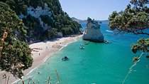Coromandel, Cathedral Cove and Hot Water Beach Full Day Tour From Auckland