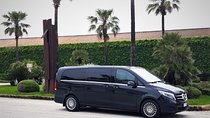 Private transfer from Palermo airport to Bio Hotel Palermo or vice versa