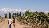 4-day Semi-private Tour of Mendoza Andes & Wine 
