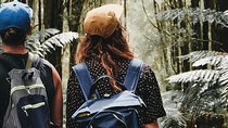 Small Eco Tour (8 ppl) - Yarra Valley & Dandenong Ranges Hike 