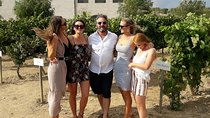 Wine & Cava Penedes Tour: Wineries, Wine Tasting and Tapas 