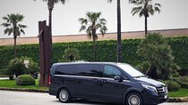 Private transfer from Palermo airport to Hotel Tonic or vice versa