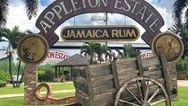 Appleton Estate Rum Private Tour 