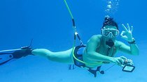 Punta Cana Combo: Diving, Parasailing, Snorkeling & Party Boat (Half Day) 