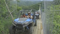 Combo Jorullo Bridge, RZR Tour & Canopy