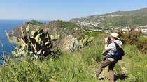Half-day east coast hike in Ischia island with pick-up