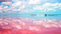 Las Coloradas Exploring Tour