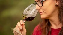 4-Day Semi-private Mendoza Wine Experience