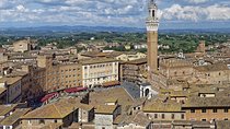 Siena Private Tour: Piazza del Campo & Duomo exploration