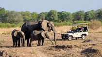Small Group Tour in the Zambezi National Park