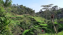 Private Ubud Fullday Tour: All Inclusive