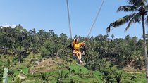 Ubud Swing, Water Temple and Waterfall Tour