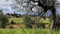 The Best of Chianti Classico E-bike tour