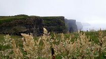 Scogliere di moher e Galway in italiano