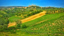 Chianti to San Gimignano Bike Tour