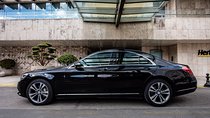 Budapest Airport Private Luxury Transfer by MB SClass/BMW7/AudiA8