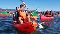 Kayaking Adventure in Madrid with Transport