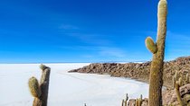 Uyuni Salt Flats - FULL DAY - English Speaking Guide