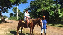 Transportation to Horse Back Ride & Swim Adventure from Ocho Rios