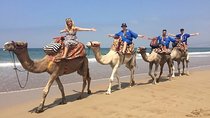 Camel Ride in Agadir