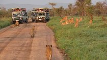 3days Tarangire,Ngorongoro Crater and lake Manyara 