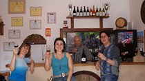 Beaujolais Wine Discovery - Private Tour - Half Day