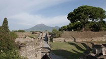 Private tour Pompeii Vesuvius and Winery from Sorrento