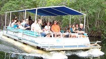 Black River Safari/YS Falls plus Floyd's Pelican Bar Private Tour 