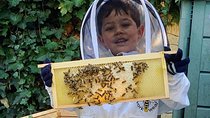 Discover active beehives in London