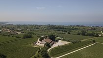 Visit and wine tasting at Tenuta La Cà