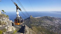 Table Mountain, Penguins, Cape of good hope and Stellenbosch tour