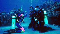 PADI Open Water Course