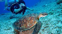 Discover Scuba Diving