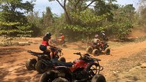 Private ATV Mud and Forest extreme Adventures with brunch.