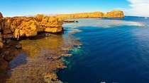 Full-Day Snorkeling Adventure in Ras Mohammed National Park