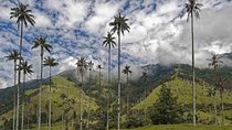 Wax Palms, Salento and Coffee Private Full Day Tour