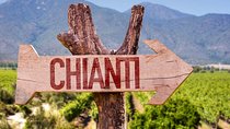 Private Chianti and SuperTuscan Tour 2 wineries with Light Lunch from Livorno