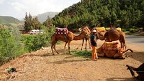 Marrakech: Atlas Mountains and 3 Valleys & Waterfalls Day Trip 