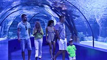 Aquarium & Face2Face Wax Museum from Belek