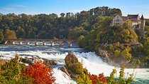 Rhine Falls and Stein am Rhein (Private Tour)