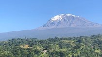 6days mount kilimanjaro trekking Machame route 