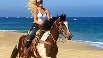 Cabo San Lucas Horseback Ride on Beach and Desert