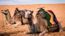 Merzouga 3-Days Desert Tour from Marrakech