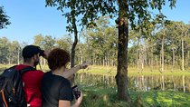 2 Nights 3 Days Chitwan Safari Tour from Kathmandu or Pokhara