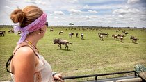 3 Days 2 Nights Serengeti, Ngorongoro & Tarangire Wildlife Lodge Safari