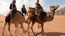 Dinner with the Bedouins and Camel ride