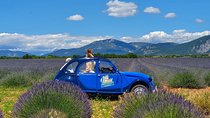The lavender road in 2cv