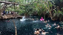 Kikuletwa Hotsprings-Day Trip