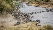 10-Day Private Safari in Tanzania 