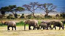 2-Day Tanzania Mid Range Private Safari